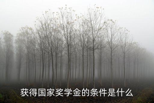 獲得國家獎學金的條件是什么