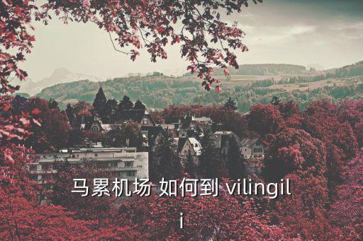 馬累機場 如何到 vilingili