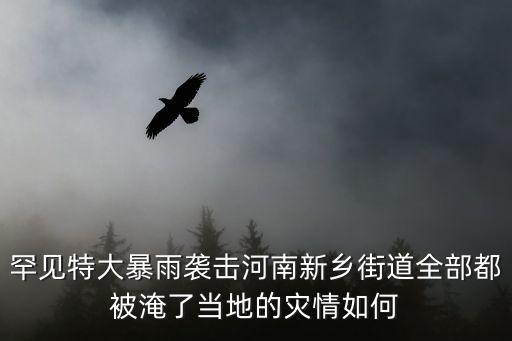 罕見特大暴雨襲擊河南新鄉(xiāng)街道全部都被淹了當(dāng)?shù)氐臑?zāi)情如何
