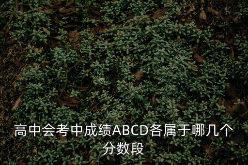 高中會考中成績ABCD各屬于哪幾個分數段