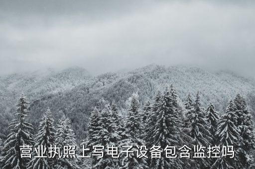 電子監控設備，企業裝的監控是否屬電子設備