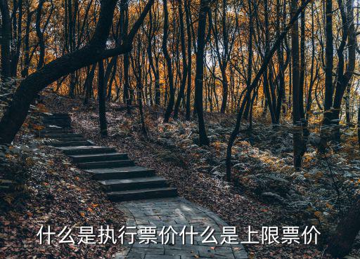 什么是執行票價什么是上限票價