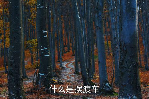 什么是擺渡車