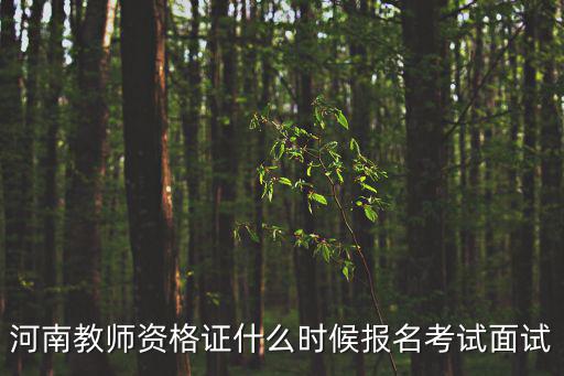 河南教師資格證什么時候報名考試面試