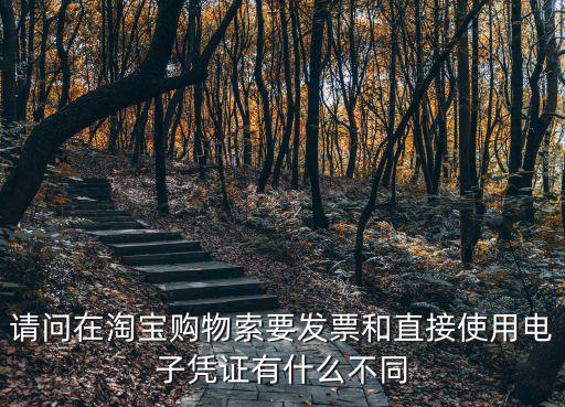 請問在淘寶購物索要發票和直接使用電子憑證有什么不同
