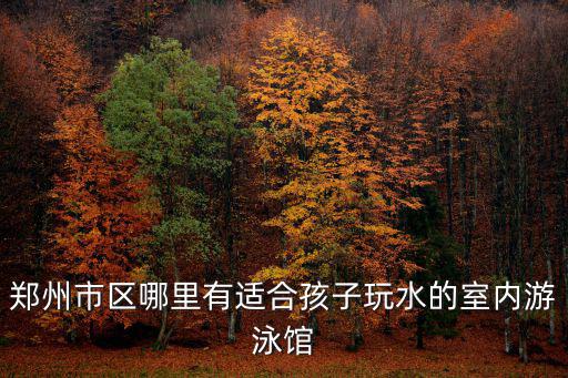 鄭州市區(qū)哪里有適合孩子玩水的室內(nèi)游泳館