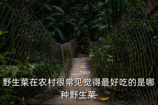 野生菜在農村很常見覺得最好吃的是哪種野生菜