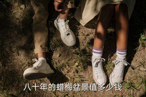 蠟梅盆景，怎么養(yǎng)盆景臘梅