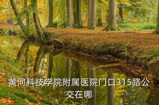 黃河科技學院附屬醫院門口315路公交在哪