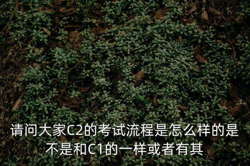 請問大家C2的考試流程是怎么樣的是不是和C1的一樣或者有其