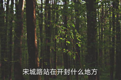 宋城路站，開封宋城路站是高鐵站嗎