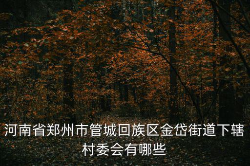 河南省鄭州市管城回族區金岱街道下轄村委會有哪些