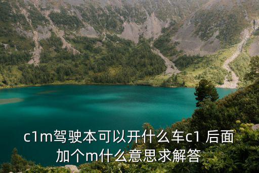 c1m駕駛本可以開什么車c1 后面加個m什么意思求解答