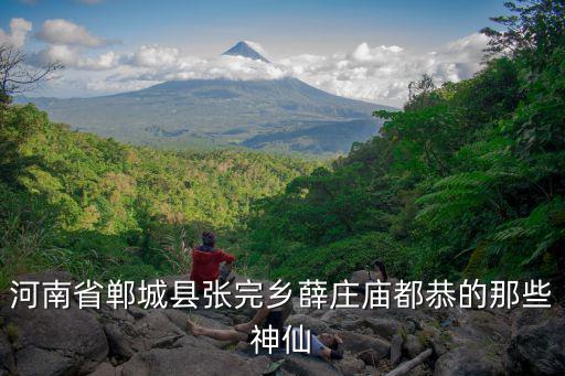 河南省鄲城縣張完鄉薛莊廟都恭的那些神仙