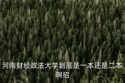 河南財經政法大學到底是一本還是二本啊招