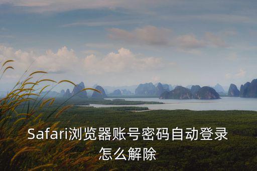 Safari瀏覽器賬號密碼自動登錄怎么解除