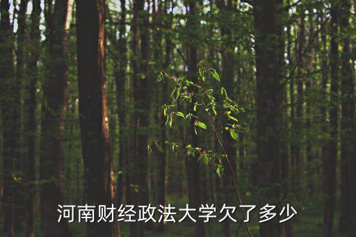 河南財經政法大學欠了多少