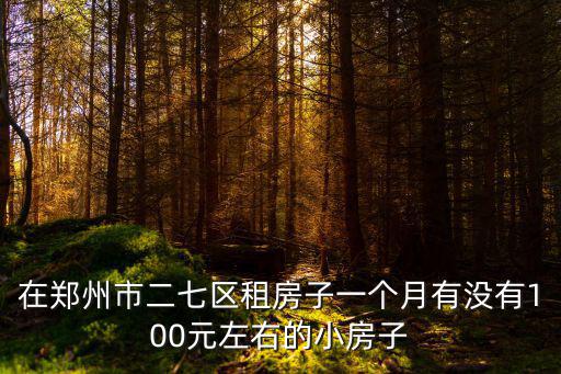 在鄭州市二七區(qū)租房子一個(gè)月有沒(méi)有100元左右的小房子
