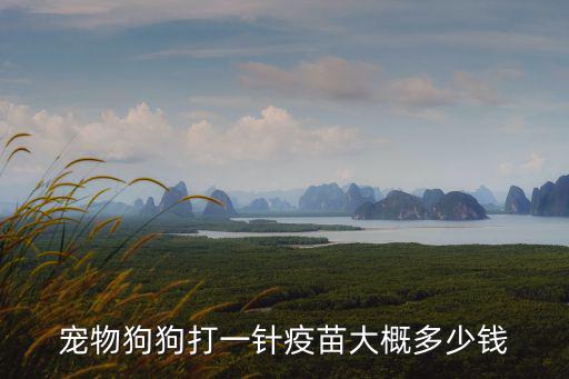 打疫苗多少錢，打狂犬疫苗要多少錢