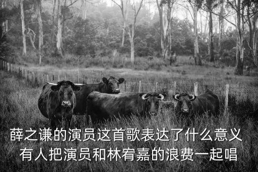 演員薛之謙，薛之謙的演員出自哪部電影
