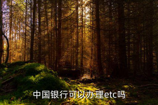 中國銀行可以辦理etc嗎