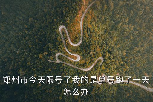 鄭州市今天限號了我的是單號跑了一天怎么辦