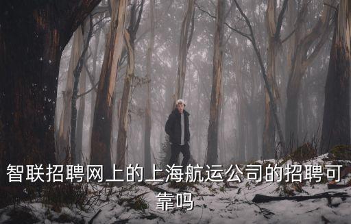 智聯(lián)招聘網(wǎng)上的上海航運公司的招聘可靠嗎