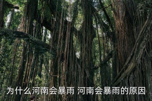 為什么河南會暴雨 河南會暴雨的原因