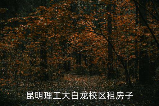 花園北路租房，昆明理工大白龍校區租房子
