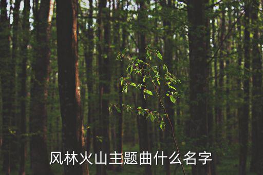 風林火山主題曲什么名字
