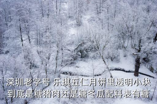 深圳老字號 樂琪五仁月餅里透明小塊到底是糖豬肉還是糖冬瓜配料表有糖