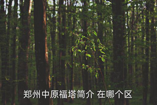 鄭州中原福塔，鄭州中原福塔好玩嗎中原福塔門票現在多少錢