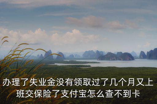 辦理了失業金沒有領取過了幾個月又上班交保險了支付寶怎么查不到卡