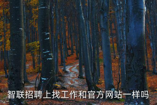 智聯(lián)招聘上找工作和官方網(wǎng)站一樣嗎