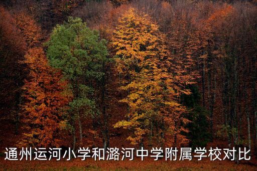運河小學，聊城運河小學是私立學校嗎