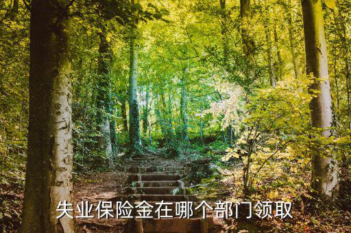 失業(yè)金在哪里領(lǐng)取，失業(yè)金在哪里領(lǐng)取