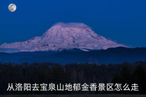 從洛陽去寶泉山地郁金香景區怎么走