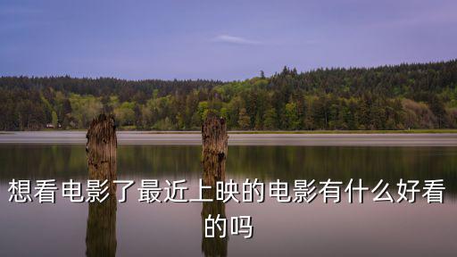 想看電影了最近上映的電影有什么好看的嗎