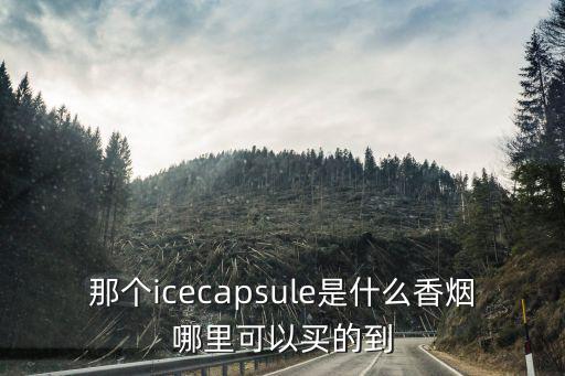 那個icecapsule是什么香煙哪里可以買的到