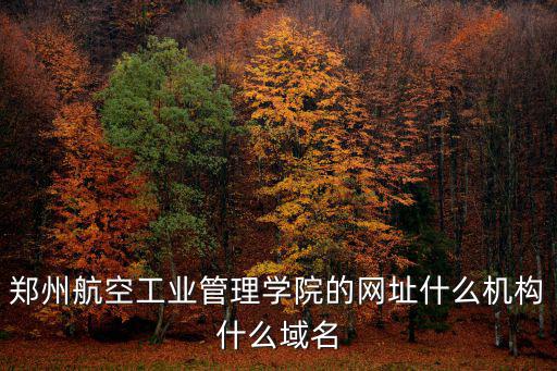 鄭州航空工業管理學院的網址什么機構什么域名