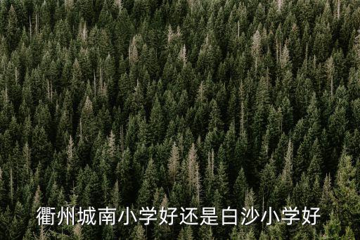 衢州城南小學好還是白沙小學好