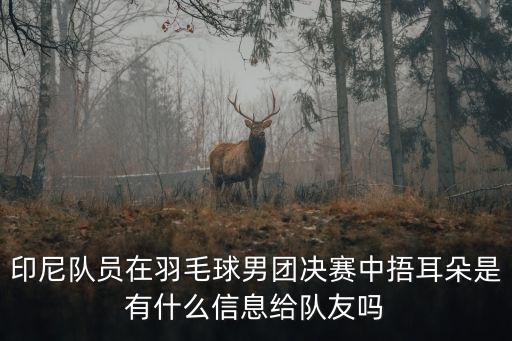印尼隊員在羽毛球男團決賽中捂耳朵是有什么信息給隊友嗎