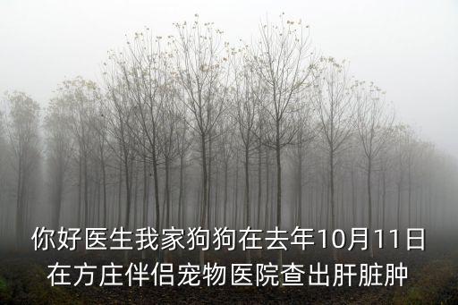 你好醫(yī)生我家狗狗在去年10月11日在方莊伴侶寵物醫(yī)院查出肝臟腫