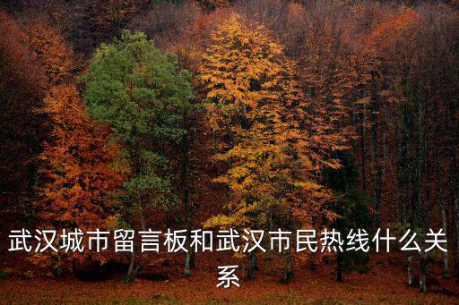 武漢城市留言板和武漢市民熱線什么關系