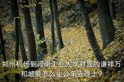 鄭州機(jī)場(chǎng)到河南工業(yè)大學(xué)對(duì)面的謙祥萬(wàn)和城要怎么坐公車(chē)去晚上9