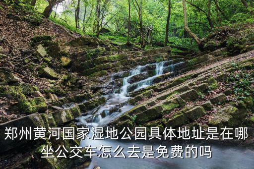 鄭州黃河國(guó)家濕地公園具體地址是在哪坐公交車(chē)怎么去是免費(fèi)的嗎