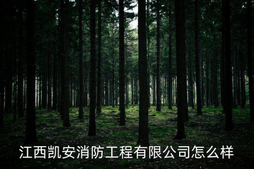 凱安，綿陽凱安汽車檢測站可以年審么