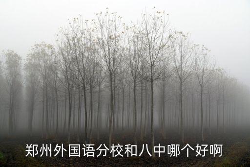 鄭州八中分校，鄭州八中分校好還是五十七中好