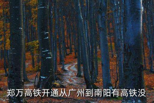 鄭萬(wàn)高鐵全線通車(chē)時(shí)間，鄭萬(wàn)高鐵開(kāi)通從廣州到南陽(yáng)有高鐵沒(méi)