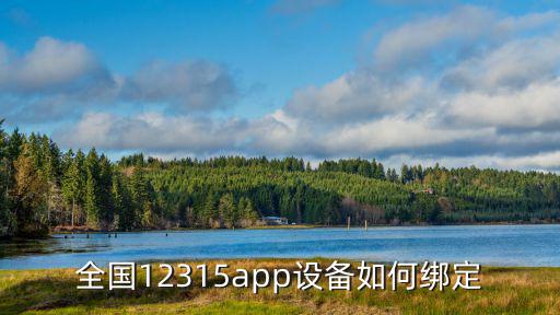 12315app，在鐵路12315上如何購票